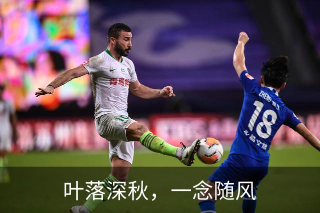 叶落深秋，一念随风