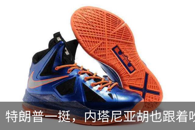 特朗普一挺，内塔尼亚胡也跟着吹上了：只要连任，两年内解决伊朗