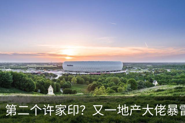 第二个许家印？又一地产大佬暴雷，涉案超200亿，现已被立案调查