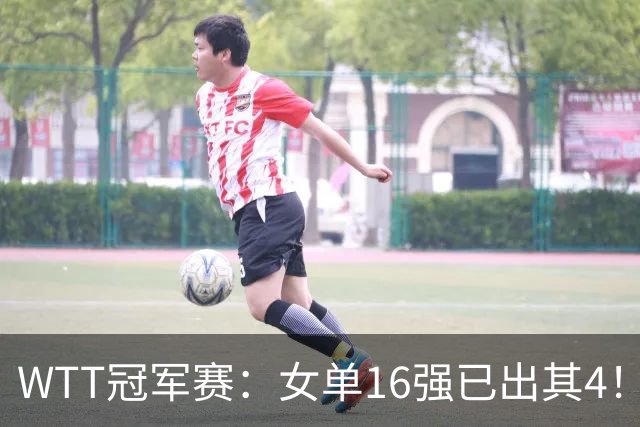 WTT冠军赛：女单16强已出其4！斯佐科斯轰3-0晋级迎战早田希娜